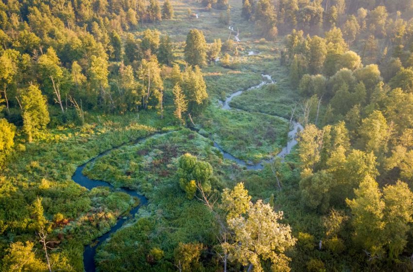  Sprzątanie świata