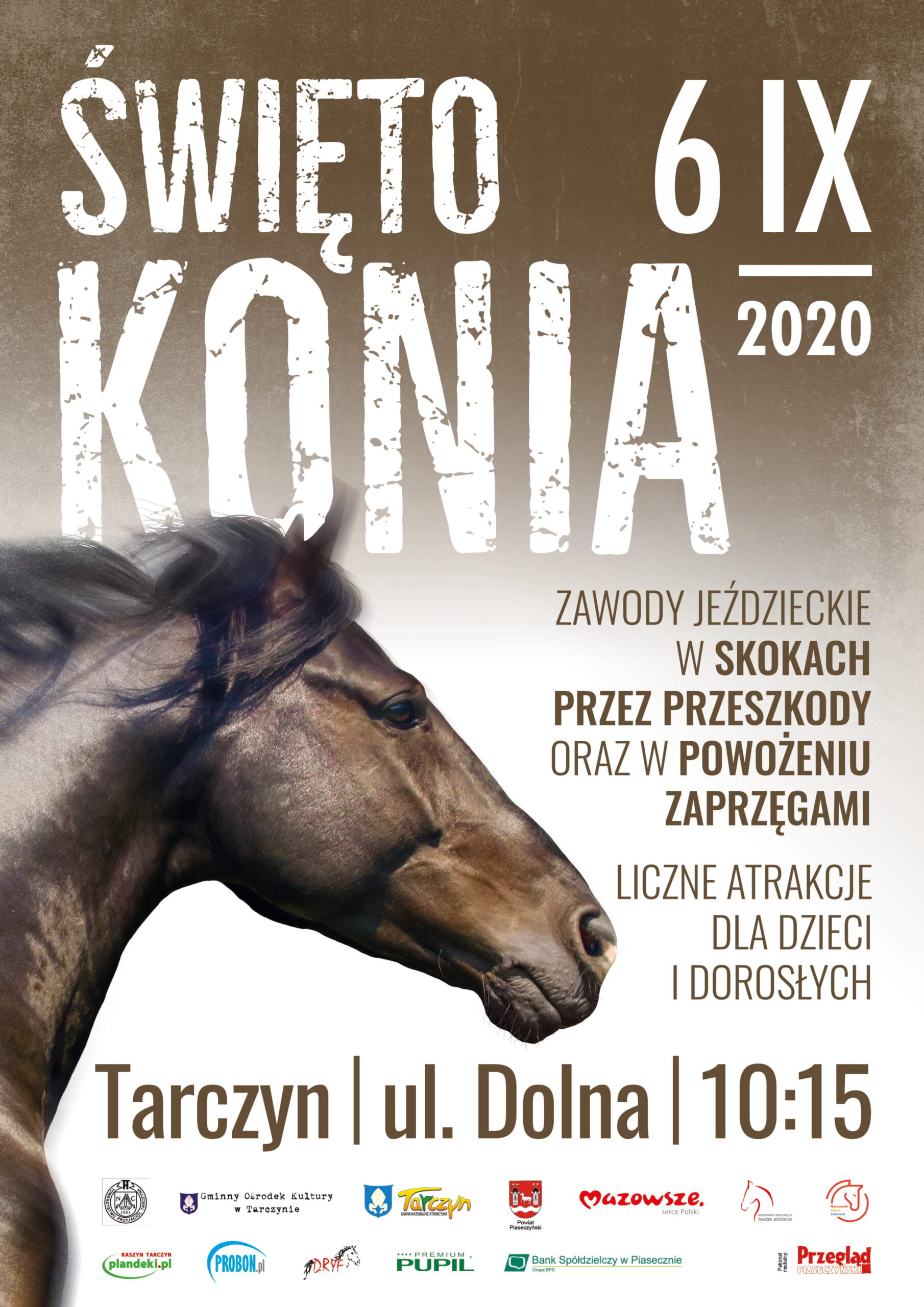 Święto Konia w Tarczynie