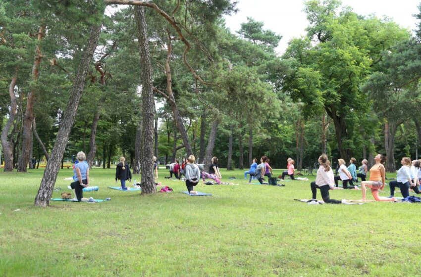  Joga online z Hugonówką