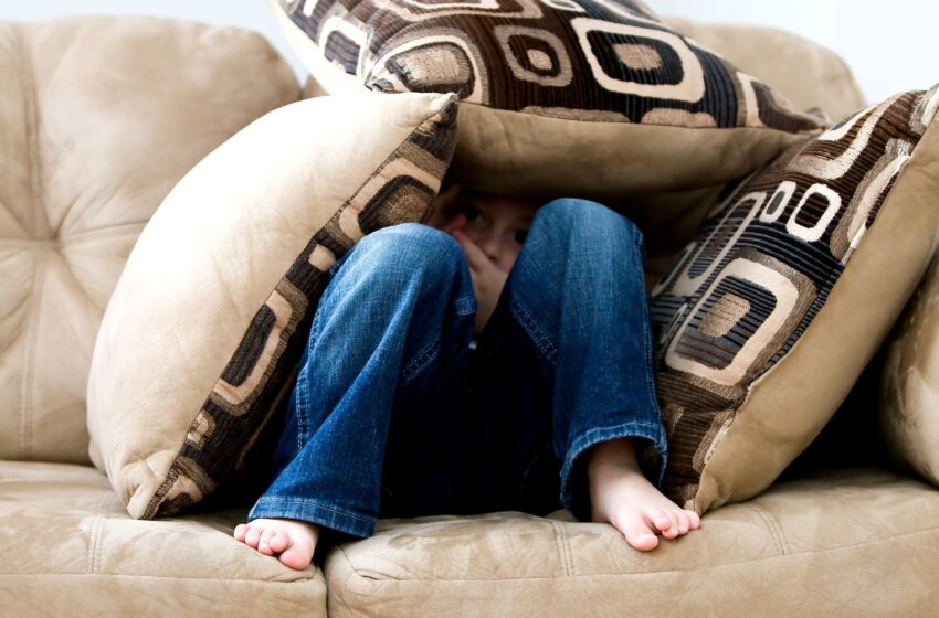 chłopiec pod poduszkami na kanapie