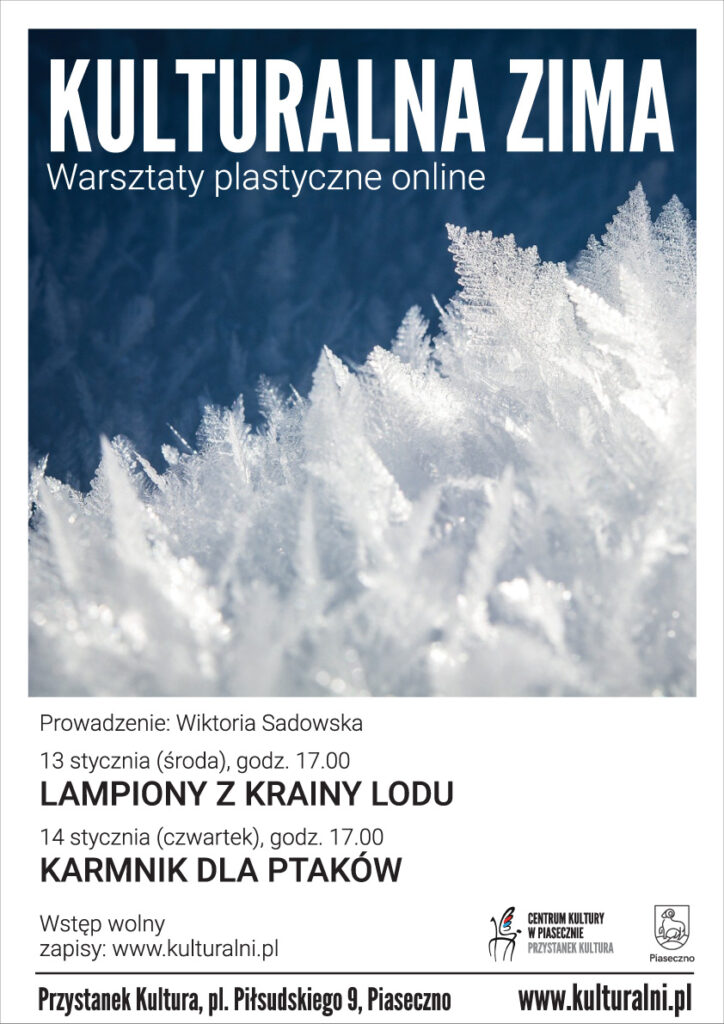 Plakat: Kulturalna Zima: Warsztaty online