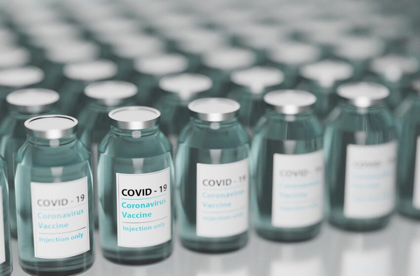 szczepionki przeciw covid19 w szlanych buteleczkach poustawiane w rzędy