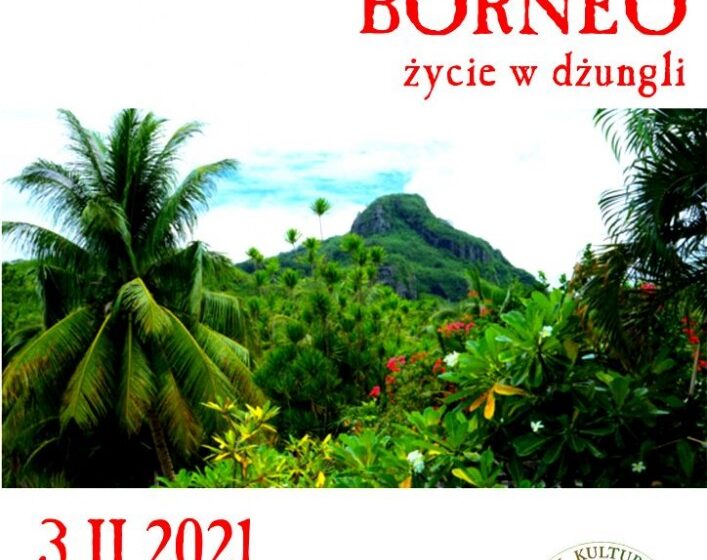  Borneo – życie w dżungli