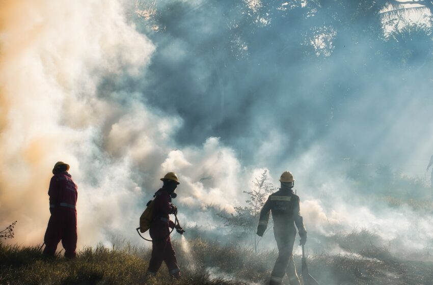strażacy gaszą pożar traw