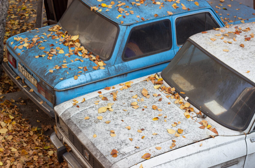 samochody przysypane liśćmi