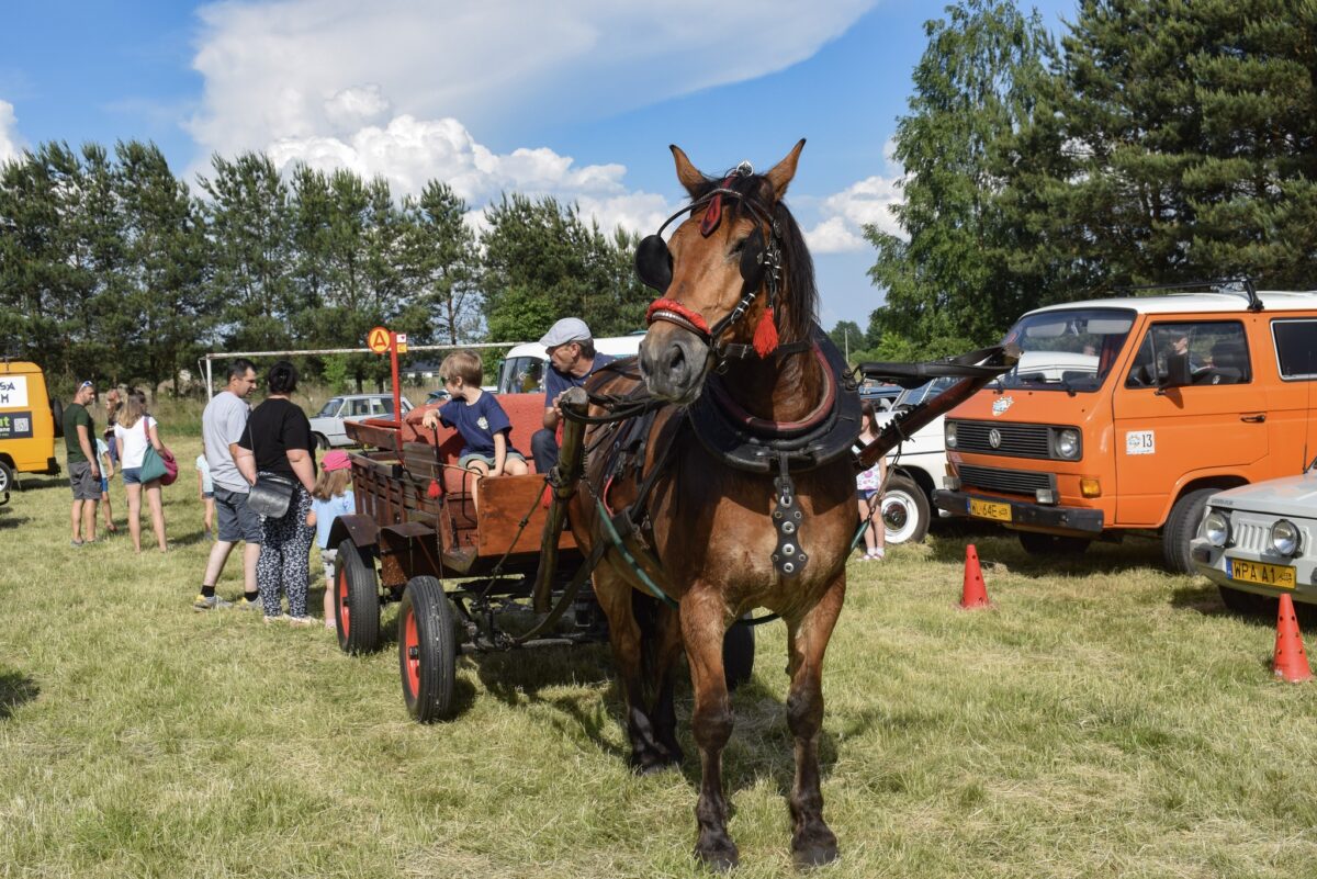 bryczka