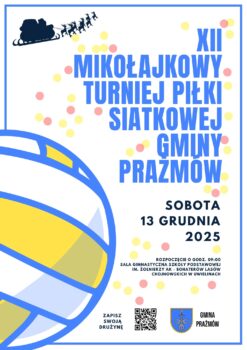 piłka do siatkówki