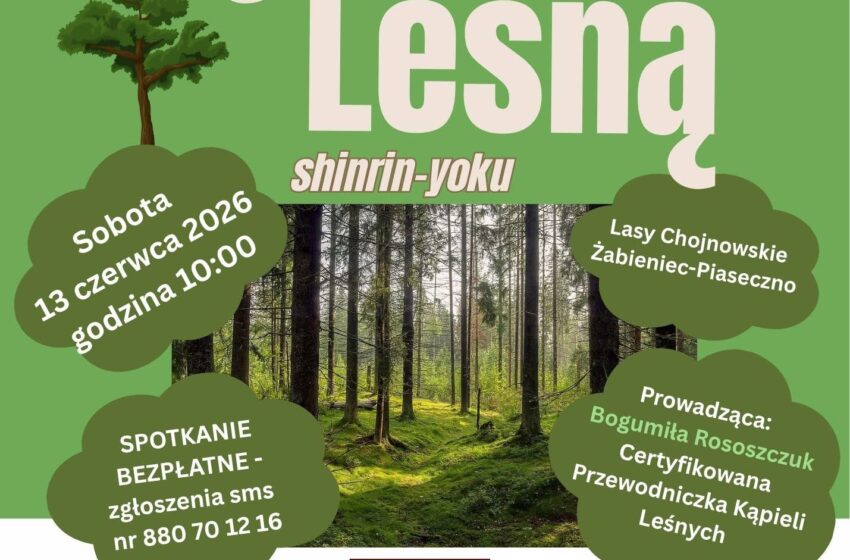  Kąpiel leśna