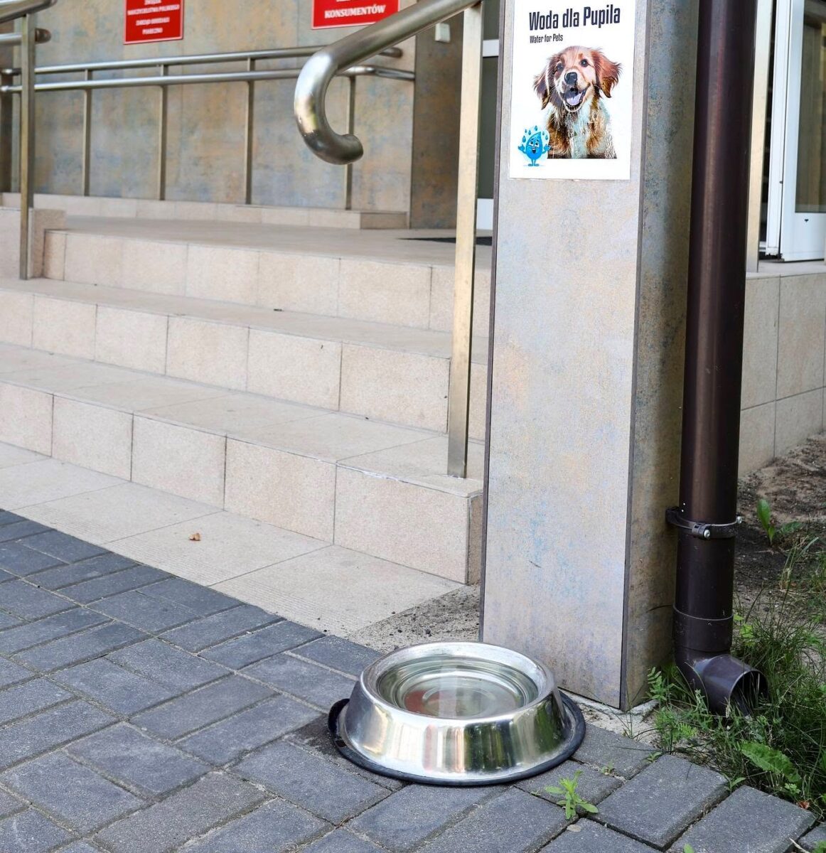 miska z wodą przed starostwem