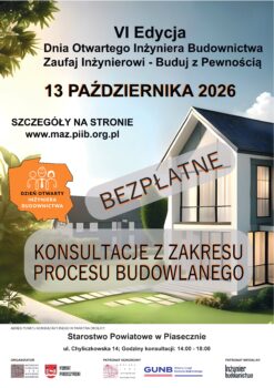 plakat grafika domu